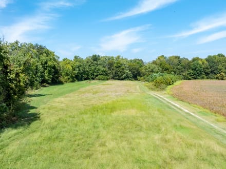 RARE 18 +/- ACRES ON THE BLACK RIVER | PRIME MALLARD FLYWAY | DUCK HUNTING PARADISE | LAWRENCE COUNTY, AR