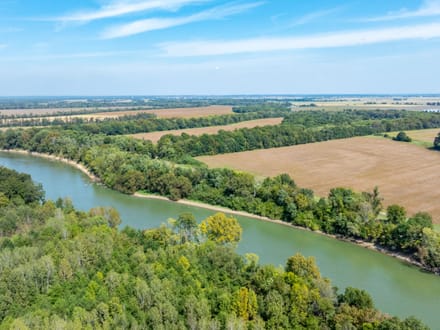 RARE 18 +/- ACRES ON THE BLACK RIVER | PRIME MALLARD FLYWAY | DUCK HUNTING PARADISE | LAWRENCE COUNTY, AR