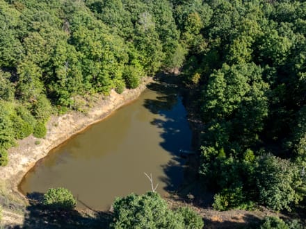98 +/- Acres of Prime Deer & Turkey Hunting Land with Trails, Pond, Home & Shops | Sharp County, Near Hardy, Arkansas