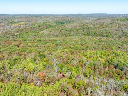 20 +/- Wooded Acres Near Bald Knob, AR | Whitetail Deer, Turkey, Bear, Creek & Seasonal Waterfall, Jackson County