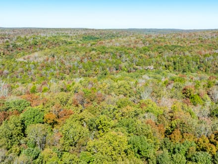 20 +/- Wooded Acres Near Bald Knob, AR | Whitetail Deer, Turkey, Bear, Creek & Seasonal Waterfall, Jackson County
