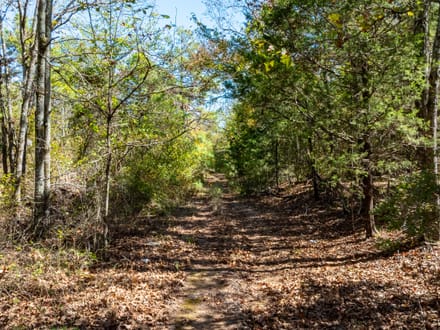 20 +/- Wooded Acres Near Bald Knob, AR | Whitetail Deer, Turkey, Bear, Creek & Seasonal Waterfall, Jackson County