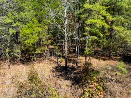 20 +/- Wooded Acres Near Bald Knob, AR | Whitetail Deer, Turkey, Bear, Creek & Seasonal Waterfall, Jackson County