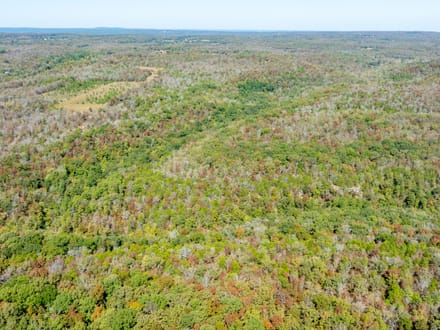 20 +/- Wooded Acres Near Bald Knob, AR | Whitetail Deer, Turkey, Bear, Creek & Seasonal Waterfall, Jackson County