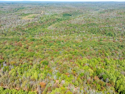 20 +/- Wooded Acres Near Bald Knob, AR | Whitetail Deer, Turkey, Bear, Creek & Seasonal Waterfall, Jackson County
