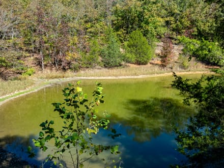 Shar County DEER CAMP l 72.2 +/- Acres off Wilson Road | Smithville, Arkansas