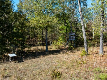 Shar County DEER CAMP l 72.2 +/- Acres off Wilson Road | Smithville, Arkansas
