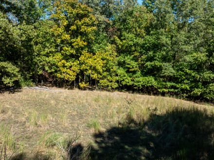 Shar County DEER CAMP l 72.2 +/- Acres off Wilson Road | Smithville, Arkansas