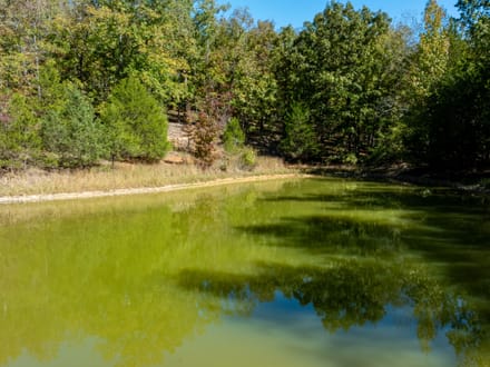 Shar County DEER CAMP l 72.2 +/- Acres off Wilson Road | Smithville, Arkansas