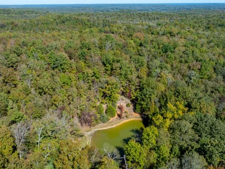 Shar County DEER CAMP l 72.2 +/- Acres off Wilson Road | Smithville, Arkansas