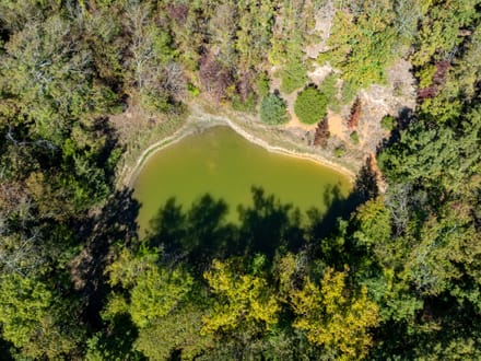 Shar County DEER CAMP l 72.2 +/- Acres off Wilson Road | Smithville, Arkansas