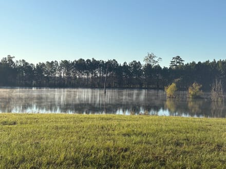 Magnolia Pines - 0 Sandy Creek Road Irwinton, GA 31042