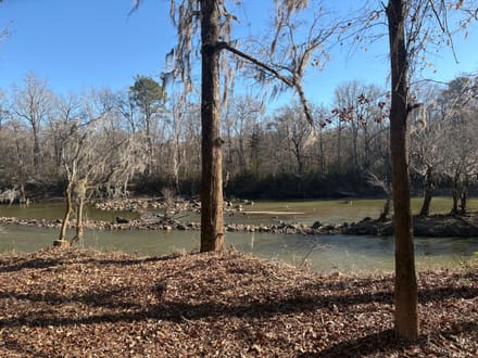 Magnolia Pines - 0 Sandy Creek Road Irwinton, GA 31042