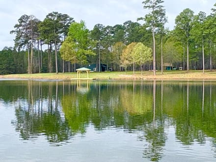 Magnolia Pines - 0 Sandy Creek Road Irwinton, GA 31042