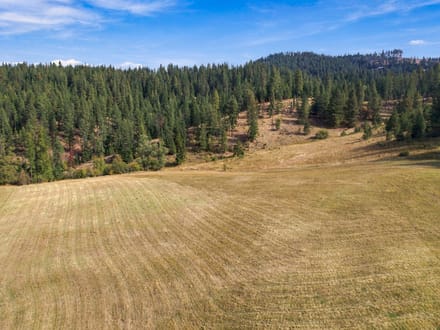 North Idaho Legacy Property | 150.67 Acres, Creek & Lake Views!