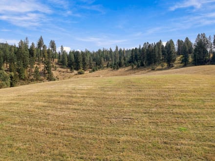 North Idaho Legacy Property | 150.67 Acres, Creek & Lake Views!