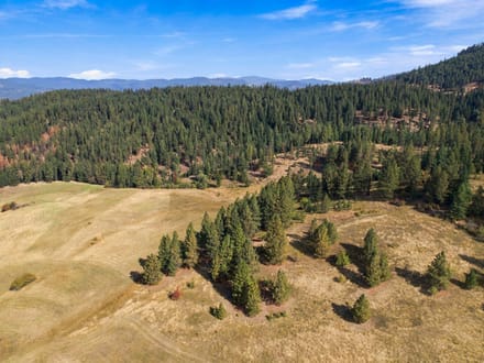 North Idaho Legacy Property | 150.67 Acres, Creek & Lake Views!