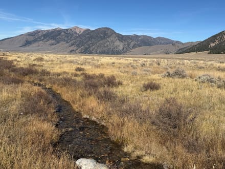 7 acres in Sportsman's Paradise