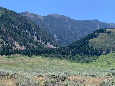 7 acres in Sportsman's Paradise