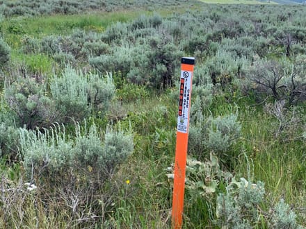 7 acres in Sportsman's Paradise