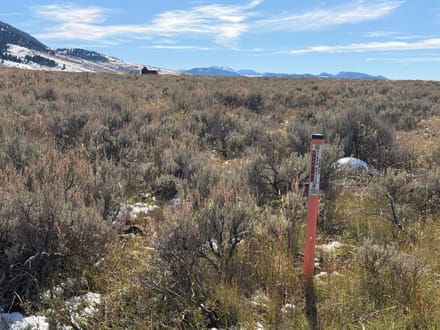 7 acres in Sportsman's Paradise