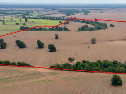 Brazos River Farmland