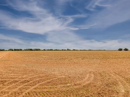 Brazos River Farmland