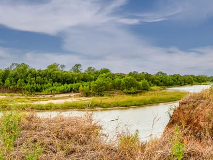 Brazos River Farmland