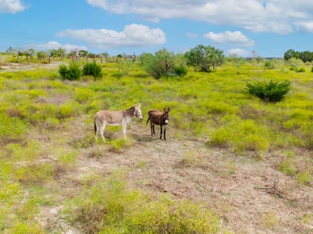 50 Acres of Scenic Texas Hill Country Land 