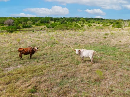 50 Acres of Scenic Texas Hill Country Land 