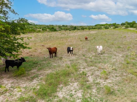 50 Acres of Scenic Texas Hill Country Land 