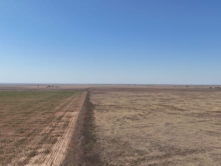 160± Acres · Parmer County · CRP Land with Easy County Road Access