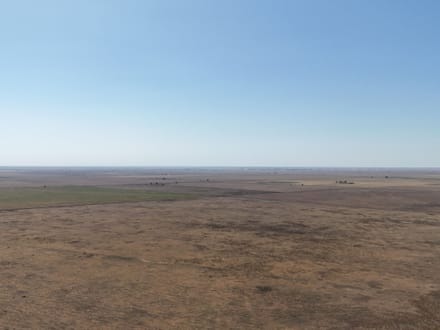 160± Acres · Parmer County · CRP Land with Easy County Road Access