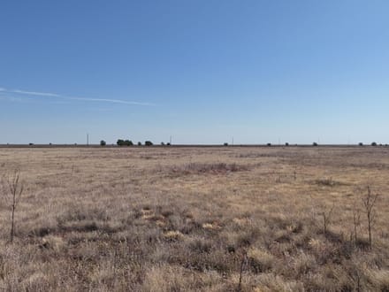 160± Acres · Parmer County · CRP Land with Easy County Road Access