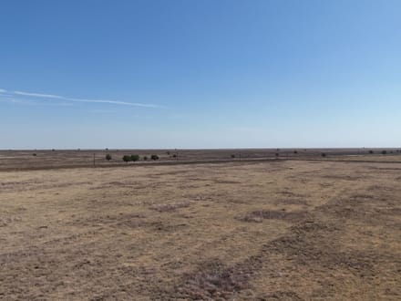 160± Acres · Parmer County · CRP Land with Easy County Road Access