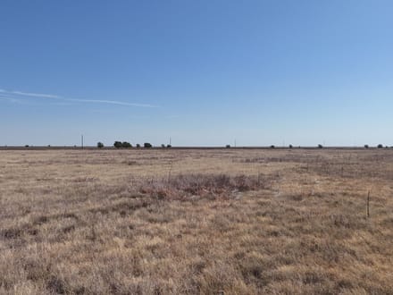 160± Acres · Parmer County · CRP Land with Easy County Road Access
