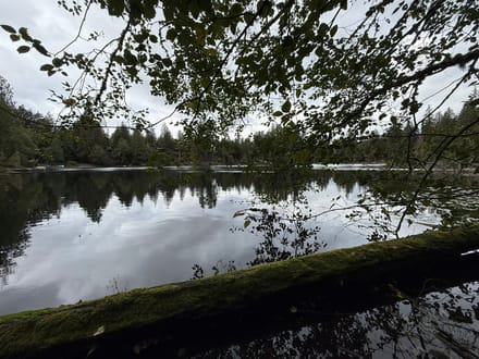 1.110 Acres in Lake Walker