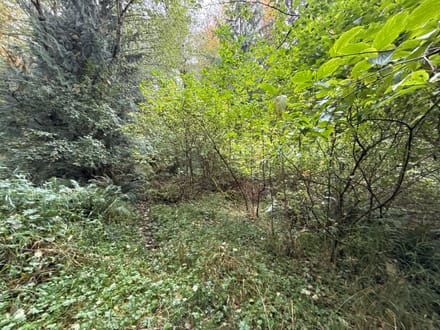 1.110 Acres in Lake Walker