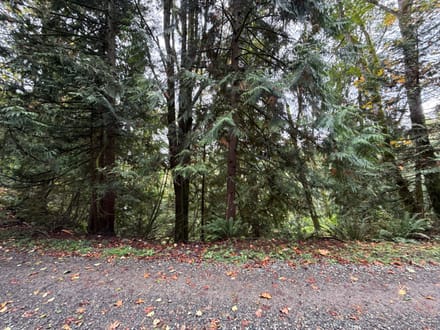 1.110 Acres in Lake Walker