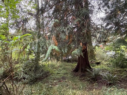 1.110 Acres in Lake Walker
