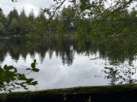 1.110 Acres in Lake Walker