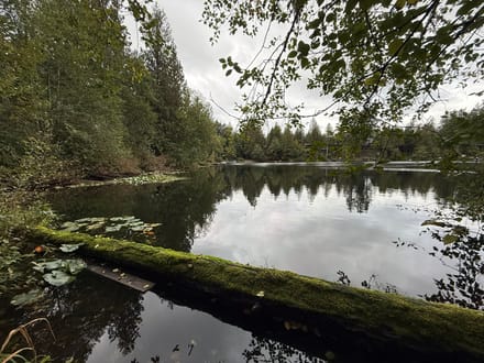 1.110 Acres in Lake Walker