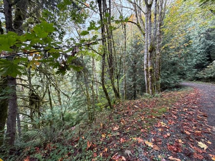 1.110 Acres in Lake Walker