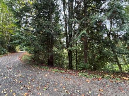 1.110 Acres in Lake Walker