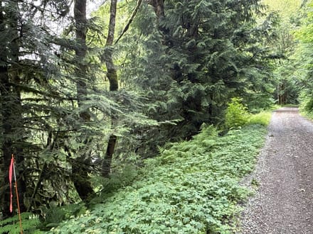 0.782 acres in Enumclaw
