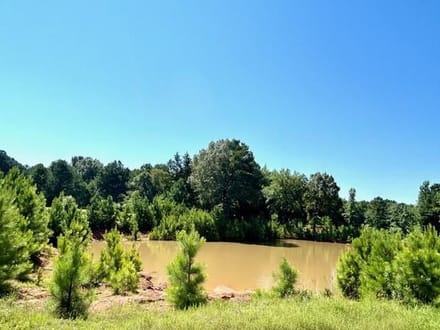 244 County Road 3117, Clarksville, TX