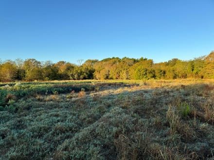 30-Acre Country Homestead, Barns and 3-BR Home