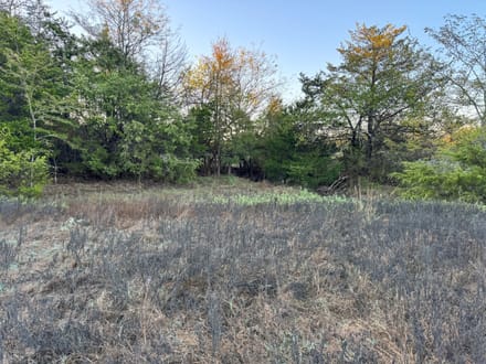 30-Acre Country Homestead, Barns and 3-BR Home
