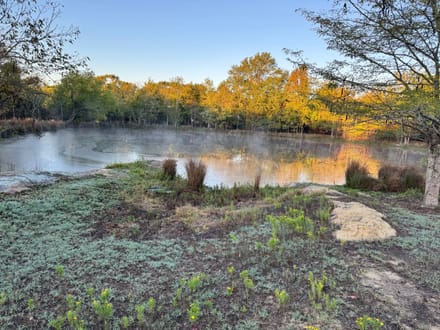 30-Acre Country Homestead, Barns and 3-BR Home