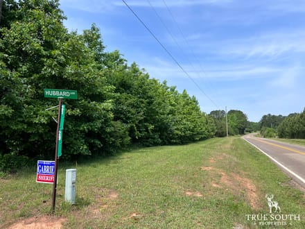 Lexington Oglethorpe County Timberland